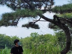 -新荣记(西溪湿地店)