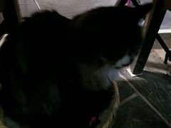 android_upload_pic-Anne猫窝咖啡屋