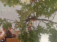 -绿茶餐厅(广州天河城店)