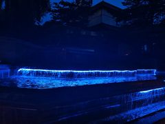 -鹭江潮餐厅•福建菜(佲家店)
