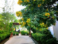 -水明漾大酒店 - 巴厘岛精品生活方式度假村