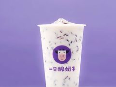 -一只酸奶牛(八一路店)