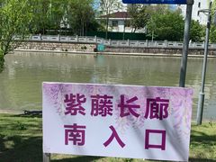 -嘉定紫藤园