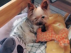 -春风十里咖啡馆