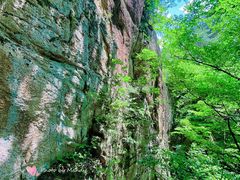 -五女峰国家森林公园