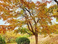 -元大都城垣遗址公园