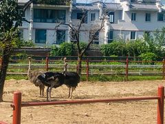 -西安秦岭野生动物园