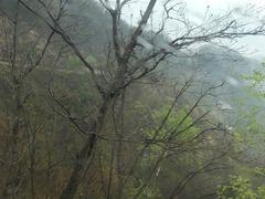 -洛阳白云山景区