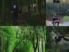 -铜陵市铜官山森林公园