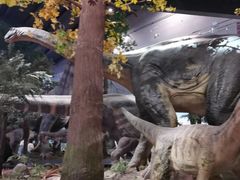 -湖南省地质博物馆