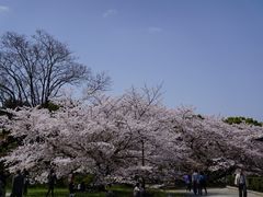 -名古屋城