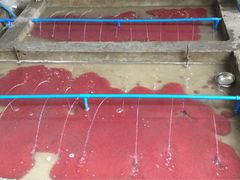 -陈氏渔具(金兴市场店)