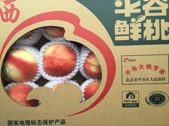 -小慧大桃观光采摘园