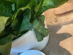 菠菜-小南房鲜美蛙火锅(北苑店)