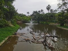 -深圳野生动物园