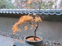 -北海道札幌格兰大酒店