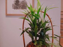 -拂晓山房·私房川菜(西门店)