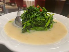 鹰嘴豆豌豆尖-北京西单美爵酒店-融轩中餐厅