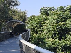 -仙岳公园
