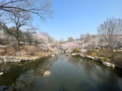 -国家植物园南园