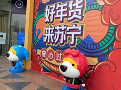 -苏宁易购(Suning Pro南京山西路店)