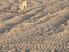 -那香海钻石沙滩浴场