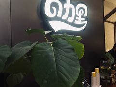 -CURRY YA 熟成咖哩專門店(深圳湾万象城店)