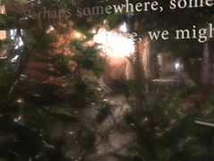 -Ocean's Table 欧舍