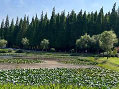 -宜兴龙背山森林公园