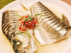 清蒸白丝鱼-沈厅酒家(周庄店)