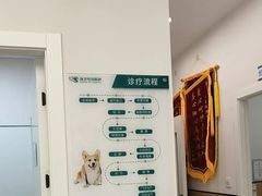-瑞派康怡24h宠物医院·犬猫医疗中心·微创绝育(瑞景分院)