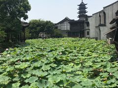 -乌镇望津里精品酒店