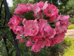 -上海山野camping·户外天幕烧烤·团建拓展营地