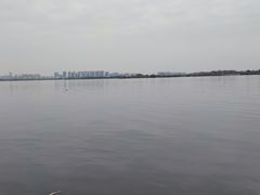 -瑶湖郊野森林公园