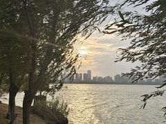 -艾溪湖湿地公园