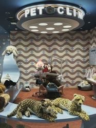 -奈尔宝家庭中心·亲子餐厅(北京东坝万达店)