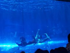 -华夏文旅海洋公园