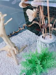 -木北造型