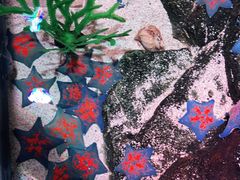 -沈阳海洋探索中心