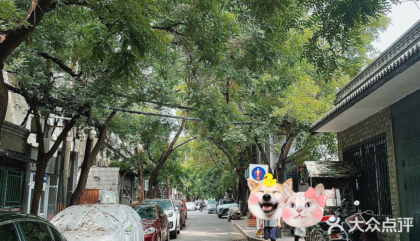 cotd｜夏日逛老北京胡同惊现小众奇特的咖啡店