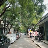 cotd｜夏日逛老北京胡同惊现小众奇特的咖啡店