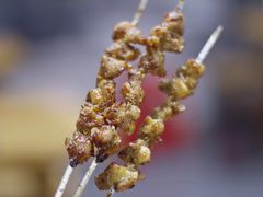-胡犇嗲单车烧烤(坡子街店)