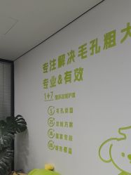 -凡碧诗毛孔清洁收细