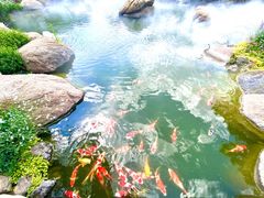 -罗红摄影艺术馆