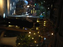 -胡桃里音乐酒馆(曲江店)