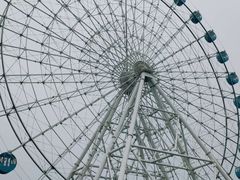 -秦皇岛乐岛海洋王国