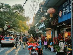-溪岸路花鸟市场