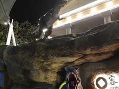 -河源客天下-温泉小镇
