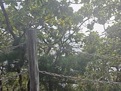 -棒棰岛宾馆景区