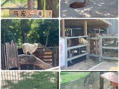 -圣露庄园·露营·烤肉·亲子